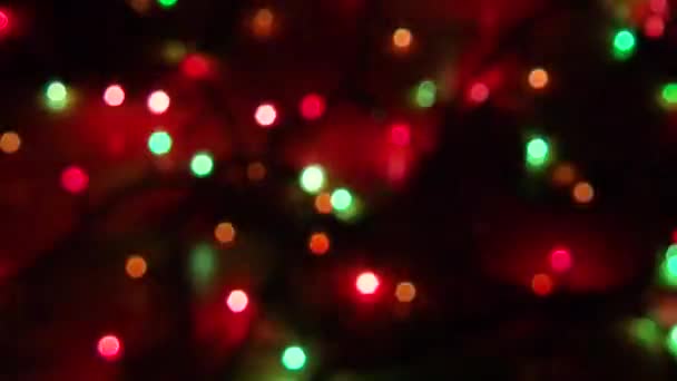 Blurry abstract colorful background. Colored Christmas garland. Bokeh and defocusing of the lens — Stock Video