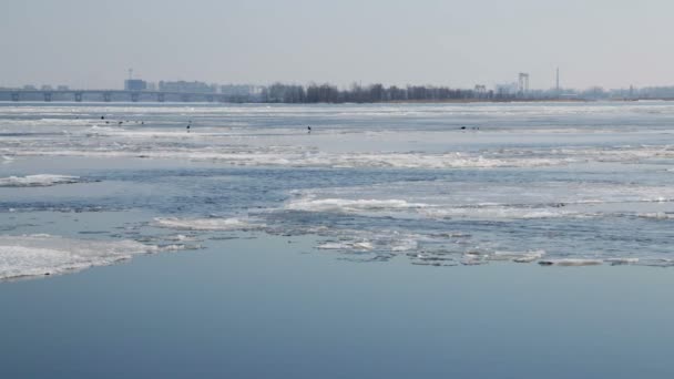 Deriva de hielo en el río Volga en marzo. La ciudad de Saratov, Rusia — Vídeo de stock