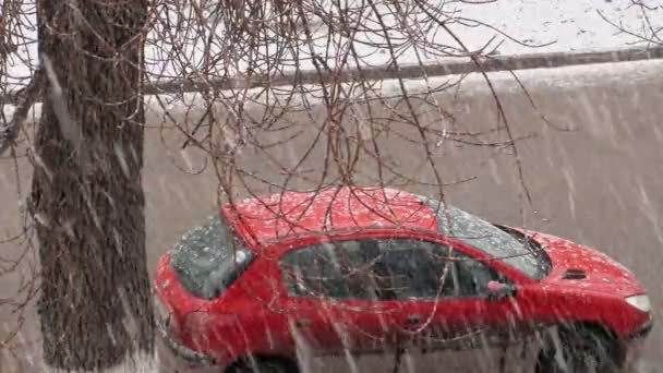 停車中の赤い車 通りに窓からの眺め 通過車 木の枝 雨や雪の形で沈殿します — ストック動画