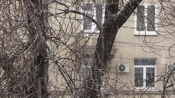 Nieve Fondo Fachada Del Edificio Árboles — Vídeos de Stock