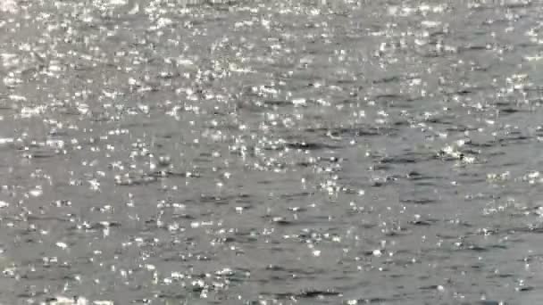 Sluneční odlesky na hladině. Řeka, moře nebo na jezero za slunečného dne. Cyklických klip s bez přestávky. 4k Uhd, Ultra Hd — Stock video