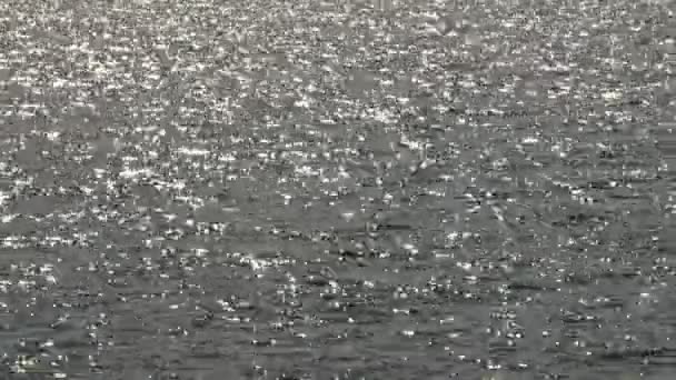 Дивлячись Воді Річку Море Або Озеро Сонячний День Петельні Кліп — стокове відео