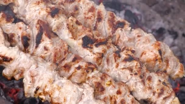 Cozinhar kebab nas brasas. Porco grelhado em espetos. Clipe de filmagem 4K, UHG, Ultra HD — Vídeo de Stock