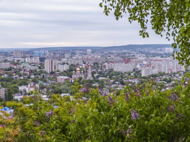 Huş ağacı ve çiçek açan leylaklar ön planda. Saratov, Rusya'nın şehrin arka plan görünümü