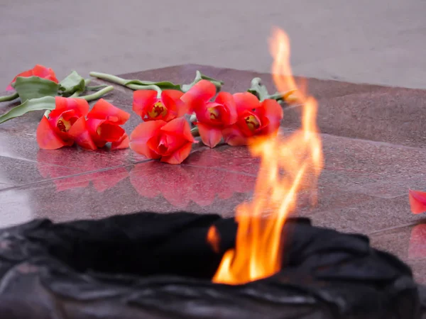 Des tulipes rouges près de la flamme éternelle en mémoire des victimes de la grande guerre patriotique — Photo