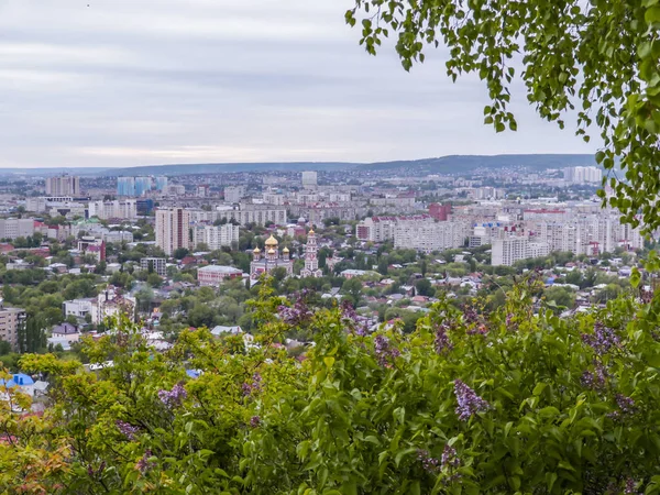 Betulla e lilla in fiore in primo piano. Sullo sfondo vista della città di Saratov, Russia — Foto Stock