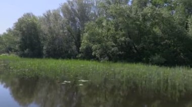 Bir yelkenli tekne gemiye videodan. Volga Nehri, Rusya. Yeşil bitki örtüsü ile hareket boyunca kıyı veya Adaları. Görüntüleri klip 4k, Ultra Hd