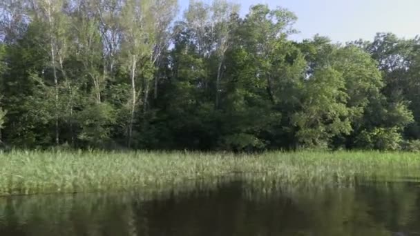 Видео с борта парусника. Река Волга, Россия. Движение вдоль берега или островов с зеленой растительностью. Видеоклип 4K, Ultra HD — стоковое видео