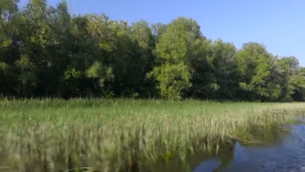 Video-ból egy vitorlás fedélzetén. A Volga folyó, Oroszország. Mozgás mentén a part vagy a szigetek zöld növényzet. Footage klip 4k, Ultra Hd — Stock videók