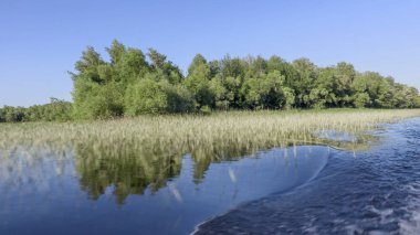 Tekne taraftan fotoğrafını. Volga Nehri, Rusya. Yeşil bitki örtüsü ile kıyı veya Adaları boyunca hareket