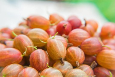 Kırmızı bektaşi üzerinde arka plan bulanık. Vitamin ürünleri.