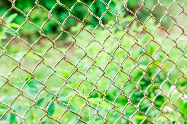 Mesh netting and blurred the back . Textured background — Stock Photo, Image