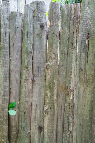 Det gamla rangliga trä staketet. Texturerat bakgrund. — Stockfoto