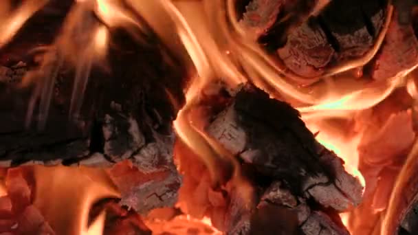 A queimar madeira e carvão. Close-up — Vídeo de Stock
