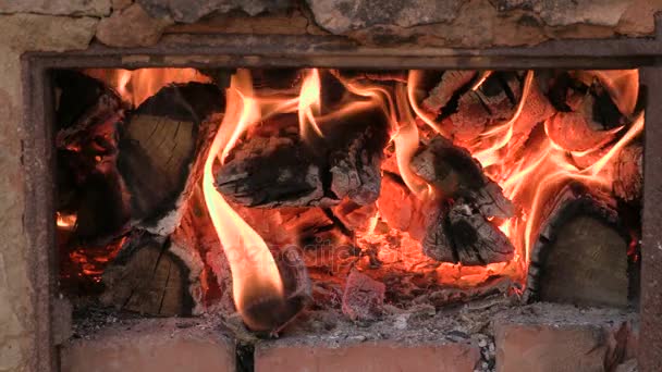 Wood burning in stove or in the fireplace. Texture flame. Background noise. Footage clip 4K — Stock Video