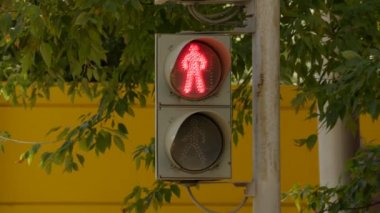 Ağaçlar yeşil yeşillik zemin üzerine bir yaz gününde sokakta yayalar için trafik ışığı. Kırmızı ışık yeşil, geri sayım değiştirilir