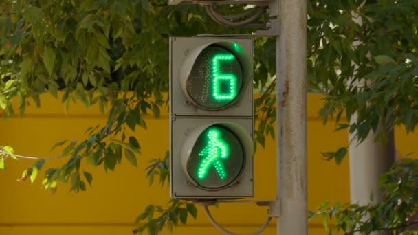 De stoplichten voor voetgangers op straat op een zomerdag — Stockvideo