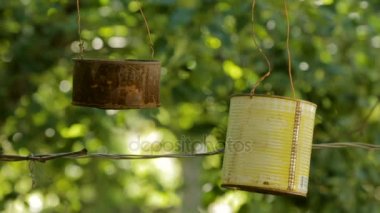 Kuş besleyiciler tohumlarından gagalar. Besleyici bir teneke kutu dışında. Baştankara