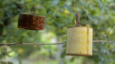 Kuş besleyiciler tohumlarından gagalar. Besleyici bir teneke kutu dışında. Baştankara