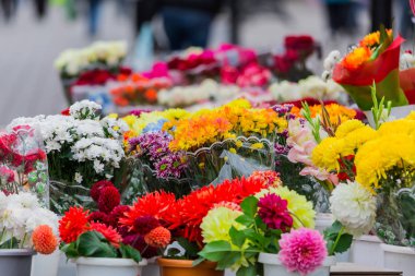 Farklı şehir piyasada renkli çiçek demetleri