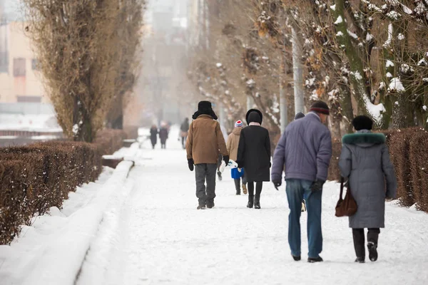 İnsanlar bir şehir Park kışın yürüyüş