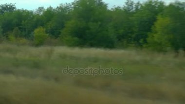 Hareket eden bir trenin penceresinden filme. Rus sonbahar manzara: alanlar, ormanlar, dikim, gökyüzü