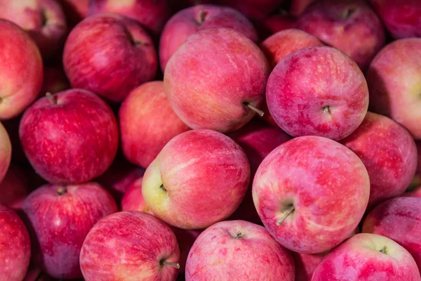 Kırmızı elma depolama balmumu bir kaplama ile