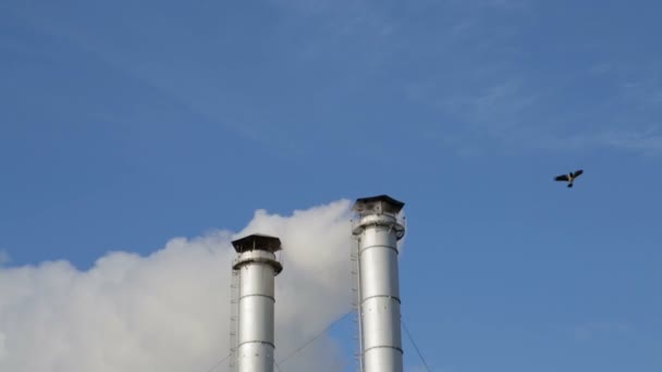 Smoke Chimneys Chp Pollution Environment Environmental Disaster Blue Sky — Stock Video