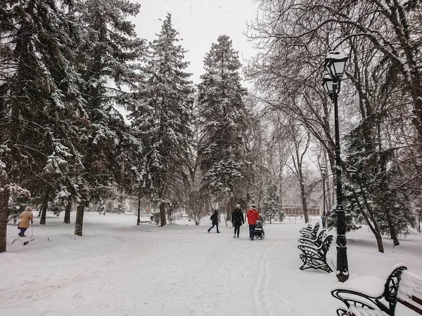 Зимний Пейзаж Сити Парк Снег Снег Люди Ходят — стоковое фото