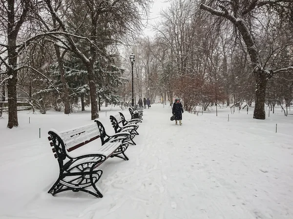 Зимовий Пейзаж Міський Парк Сніг Снігопад Люди Ходьби — стокове фото