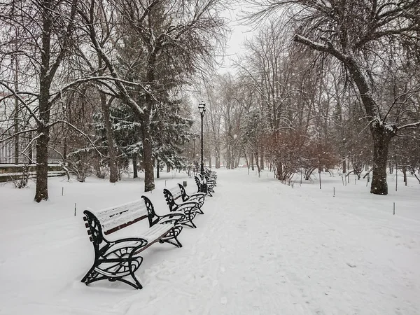 Zimní Krajina Městský Park Sněhu Sněžení Lidé Chodí — Stock fotografie