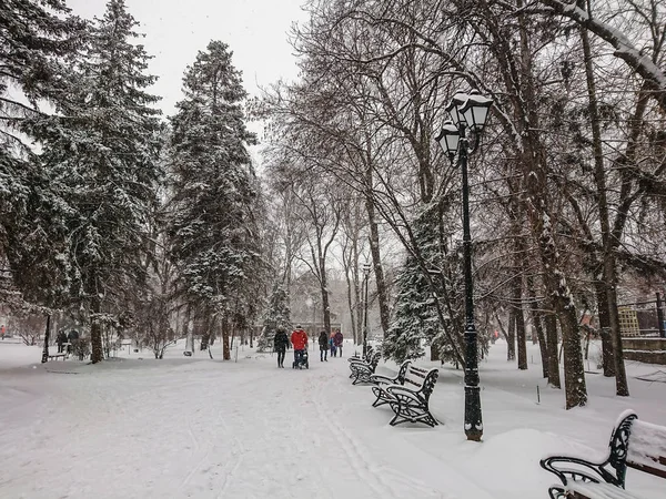 Zimní Krajina Městský Park Sněhu Sněžení Lidé Chodí — Stock fotografie