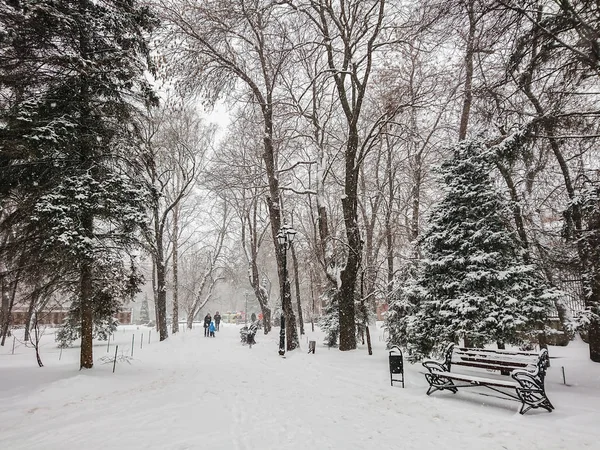 Zimní Krajina Městský Park Sněhu Sněžení Lidé Chodí — Stock fotografie