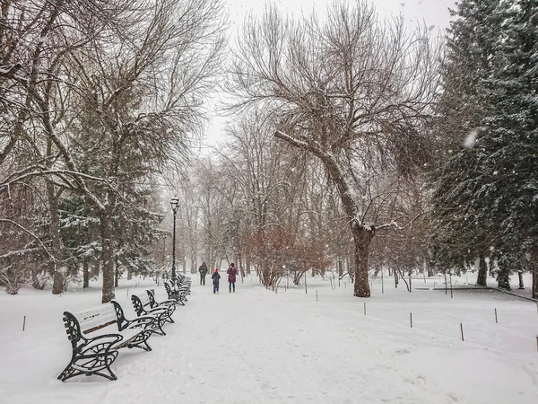Zimní Krajina Městský Park Sněhu Sněžení Lidé Chodí — Stock fotografie
