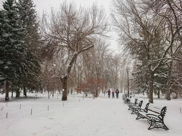 Zimní Krajina Městský Park Sněhu Sněžení Lidé Chodí — Stock fotografie