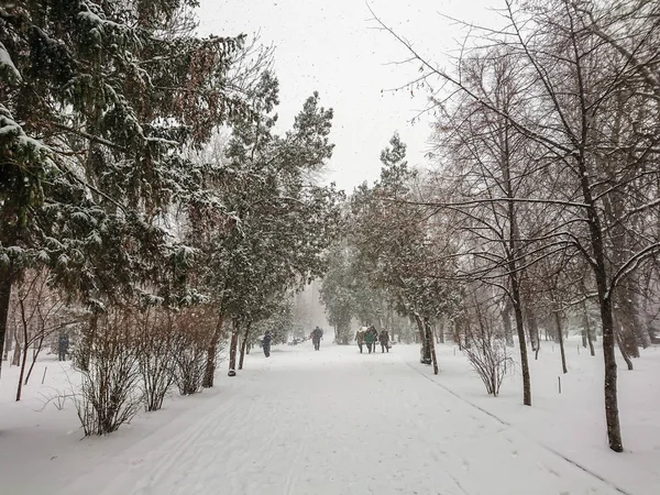 Zimní Krajina Městský Park Sněhu Sněžení Lidé Chodí — Stock fotografie