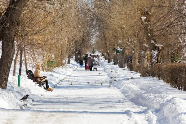 Люди Ходят Городскому Парку Солнечный Зимний День — стоковое фото