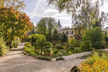 Botanik bahçe içinde güzel bir atmosfer