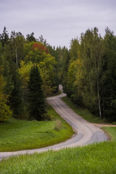 Estrada entre florestas estónias — Fotografia de Stock
