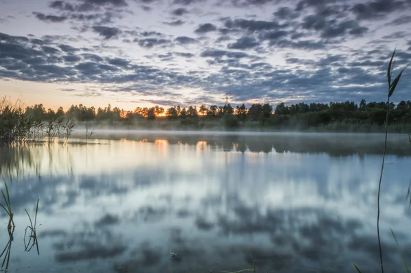 Mist over a river — Stock Photo, Image