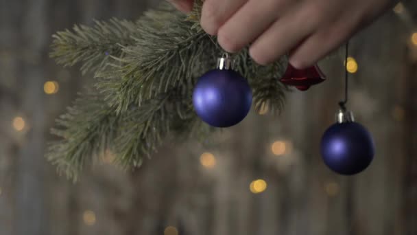 Två blå jul bollen och Gran grenar på bakgrunden av vacker bokeh. — Stockvideo