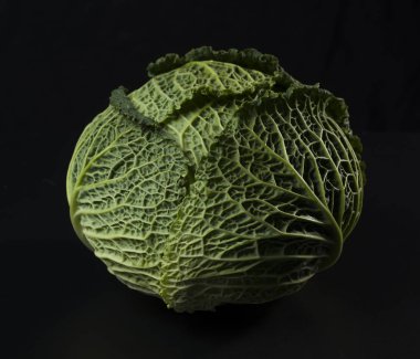 Olgun yeşil savoy lahana siyah bir zemin üzerine.