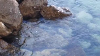 Dalgalar küçük deniz taşları yakınındaki. Temiz su.