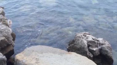 Dalgalar küçük deniz taşları yakınındaki. Temiz su.