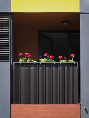 Kahverengi bir evin balkonunda kırmızı çiçekler.