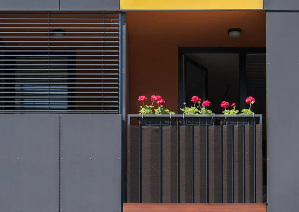 Rote Blumen Auf Dem Balkon Eines Braunen Hauses Stockfoto