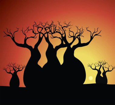 Boab (Baobab) ağaç vektör resim. Yerli sanat vektör arka plan. 