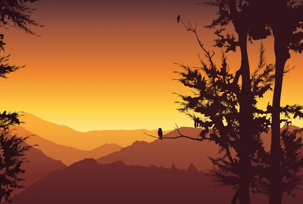 Fondo Naturaleza Colorido Atardecer Valle Salvaje Montaña Con Árboles Ilustración — Vector de stock