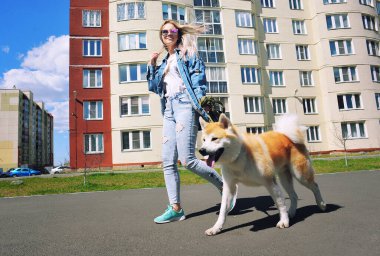 a blonde girl in blue sneakers and a denim jacket walks around the city with a large red dog, walking in the yard, along the panel and brick multi-storey buildings. Bright sun, green grass, lifestyle. Running, hugging and laughing and fooling around. clipart