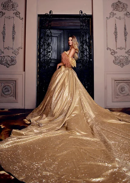 Şatonun lüks şatosu gikarny parlak altın elbisesi içinde korse üzerinde uzun bir tren ve taşlarla süslenmiş güzel prenses kız. Yeni yıl, Noel ağaçları ve hediyeler. Kraliçe çok mutlu ve gülüyor, sana bir hediye veriyor. Karanlık iç mekan, Shine. .